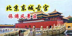 淫乱12p中国北京-东城古宫旅游风景区